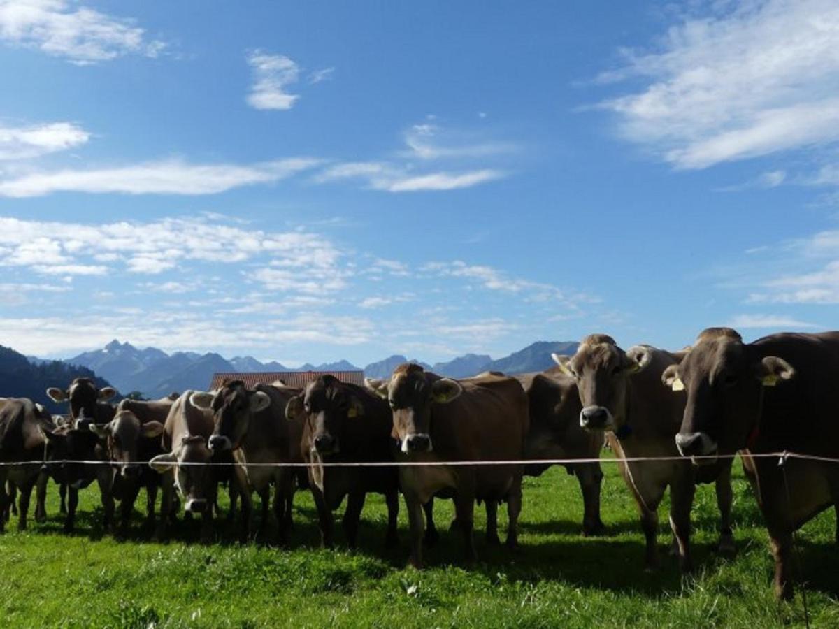 Hemerhof - Ferienwohnungen Oberstdorf Exterior foto