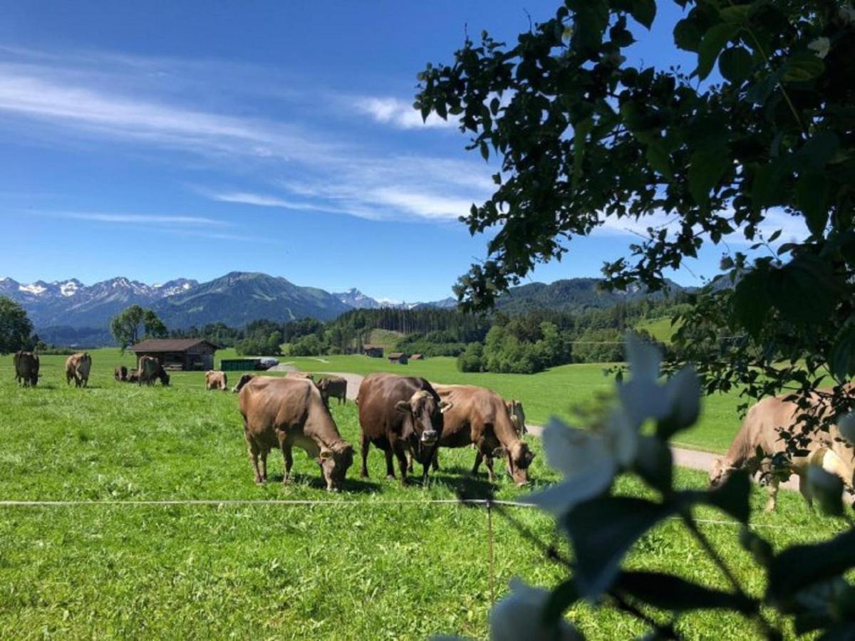 Hemerhof - Ferienwohnungen Oberstdorf Exterior foto